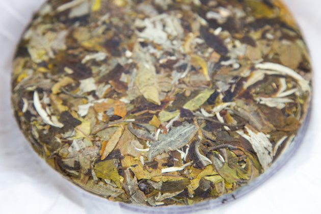 白鶯山古樹白茶