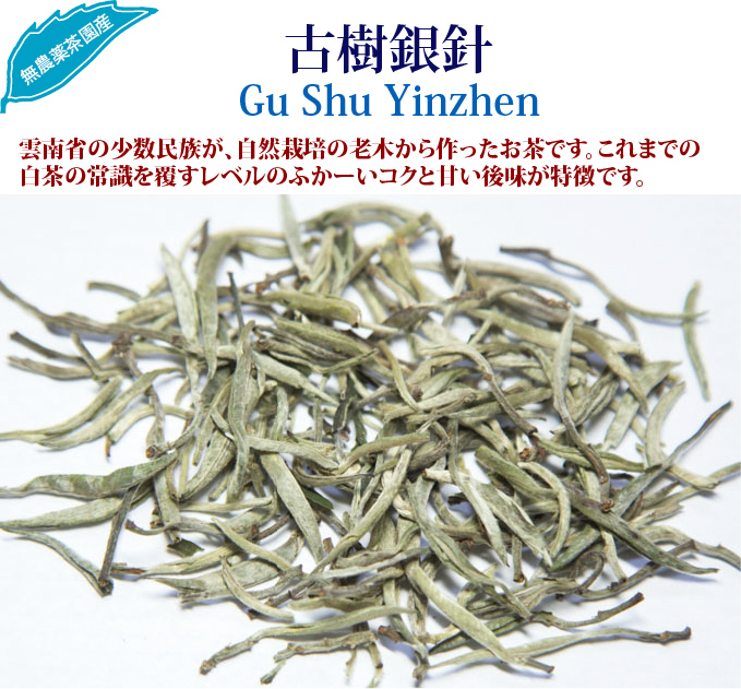 Silver Needle