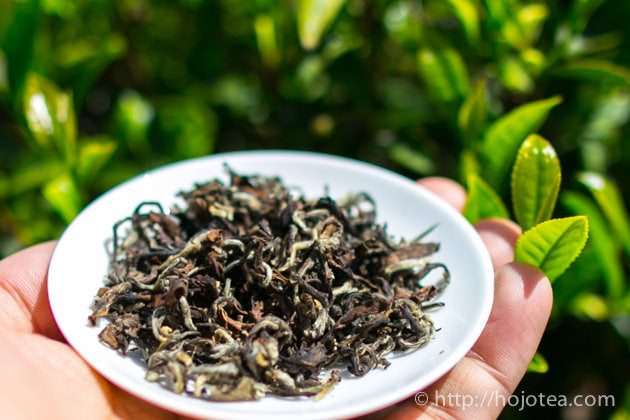 ネパール 1st Flush Jun Chiyabari Estate